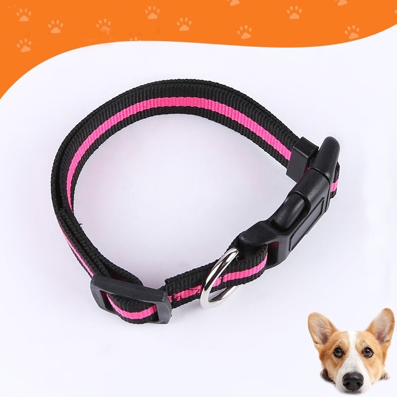 2021 Hot SALE Soft Adjustable Nylon Stripes Heavy Duty Dog Collar Multiple Sizes for ADULT DOGS CATS #5