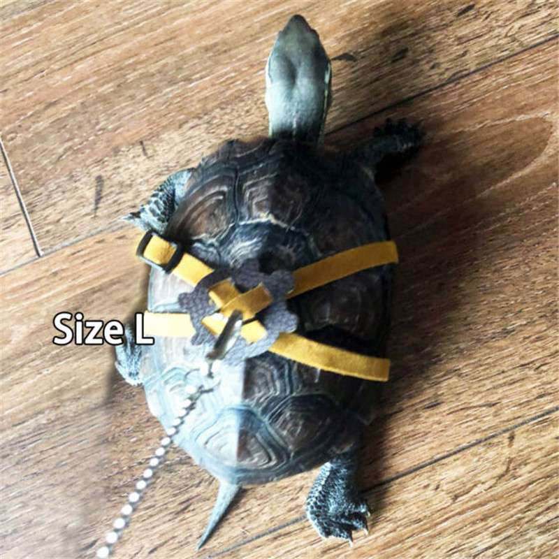 Lead Control Rope Turtle Rope Pet Tortoise  Rope Chest Collar Rope Leather Harness Strap #3