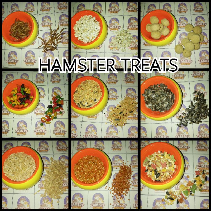 Hamster Food / Hamster Treats (Seeds, Branded foods, dried worms and