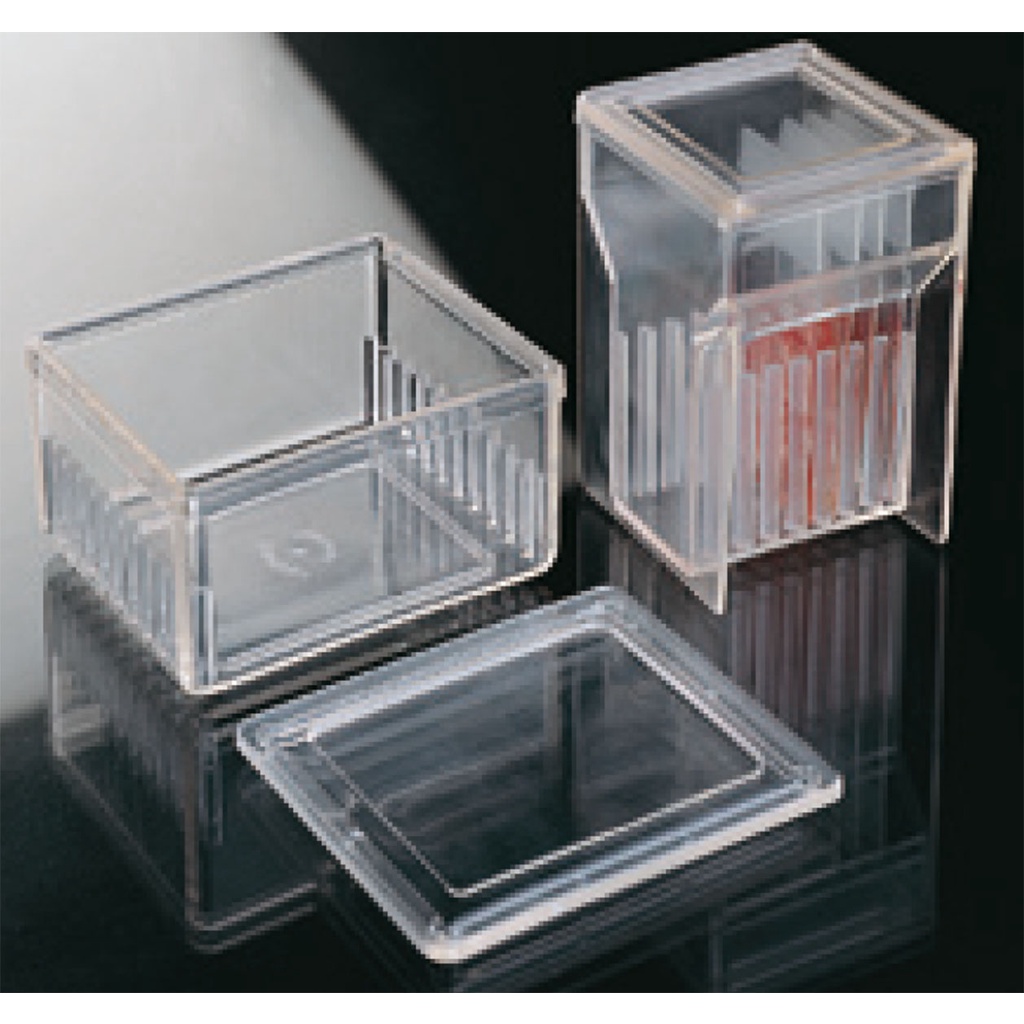 Coplin Jar Glass Slides Container Slide Staining Jar 10's Shopee