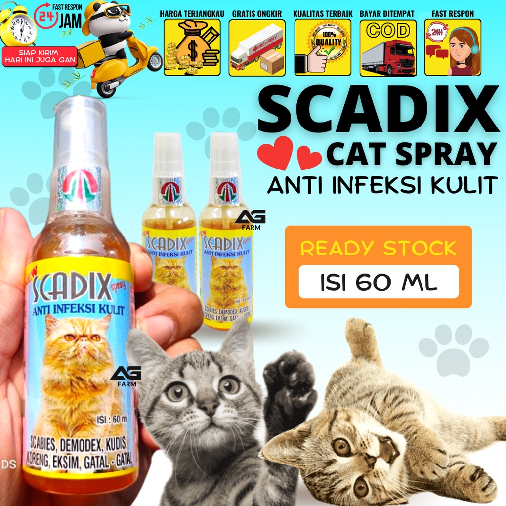 Scadix SPRAY - Cat Medicine Anti Skin Infection Itching Scabies Scabies ...
