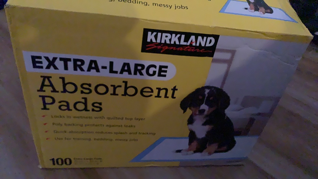 extra large absorbent pads kirkland