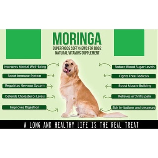 Moringa Powder for Dogs Malunggay Powder for Dogs Overall Health with Vitamins Minerals Food Toppers #8