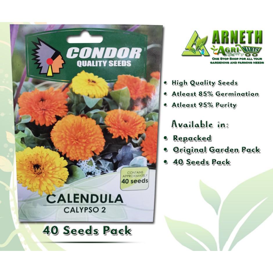Calendula Calypso Series Orange Dark Eye  Annual Seeds 