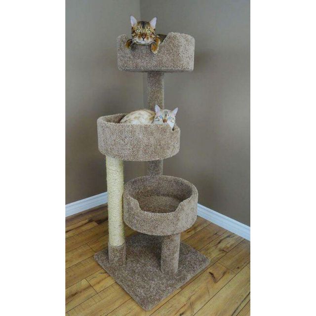 shopee cat tree