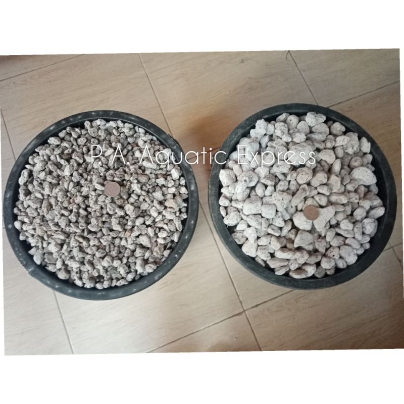 PUMICE STONE Aquarium FILTER MEDIA 500g/1kg (WASHED) Shopee Philippines