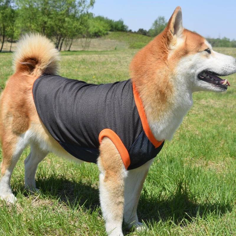 Summer New Dog Anti-Lint Cool Mesh Vest Shiba Inu Akita Pastoral Golden Retriever Samo Husky Clothes YSKl #7