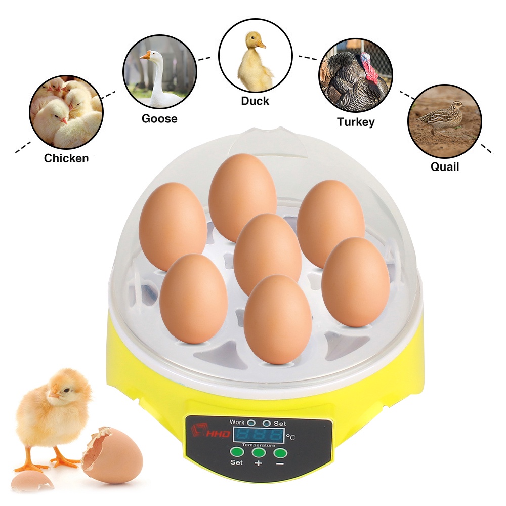 Brooder Poultry Incubator Automatic for Chicken Duck Bird Pigeon Mini Egg Incubator #8