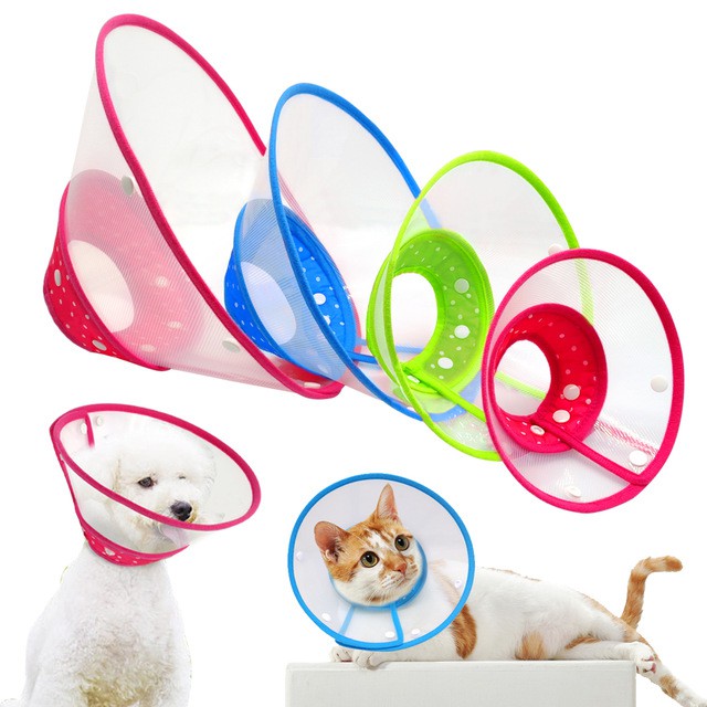 elizabethan collar for cats
