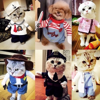 ■Cat clothes dog vibrato with the same net celebrity pet clothing kitten kitten summer funny funny o