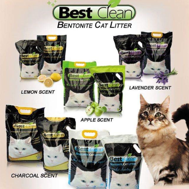 Best Clean Bentonite Cat litter 1KG40php Shopee Philippines