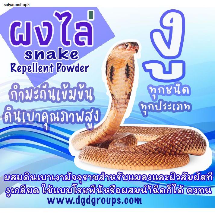 Arrange On All Kinds Of Crawling Powder Snakes Money Gold Insects And