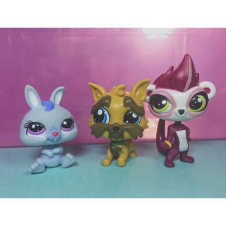 lps dogs and cats for sale