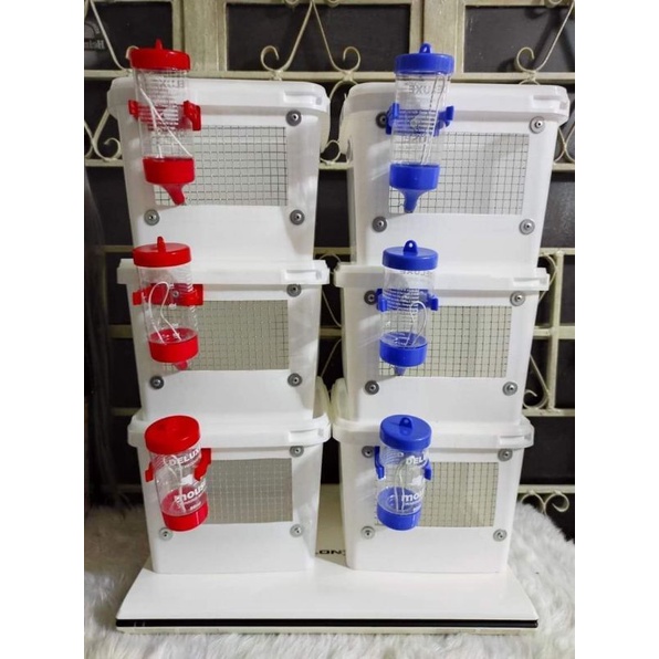 Travel Size 6L Hamster Bin cage (Breeding cage) | Shopee Philippines