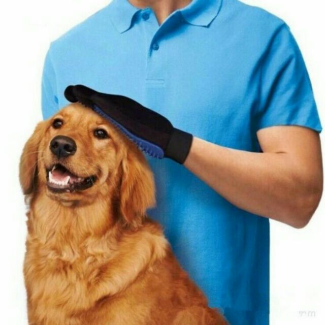true touch dog grooming glove