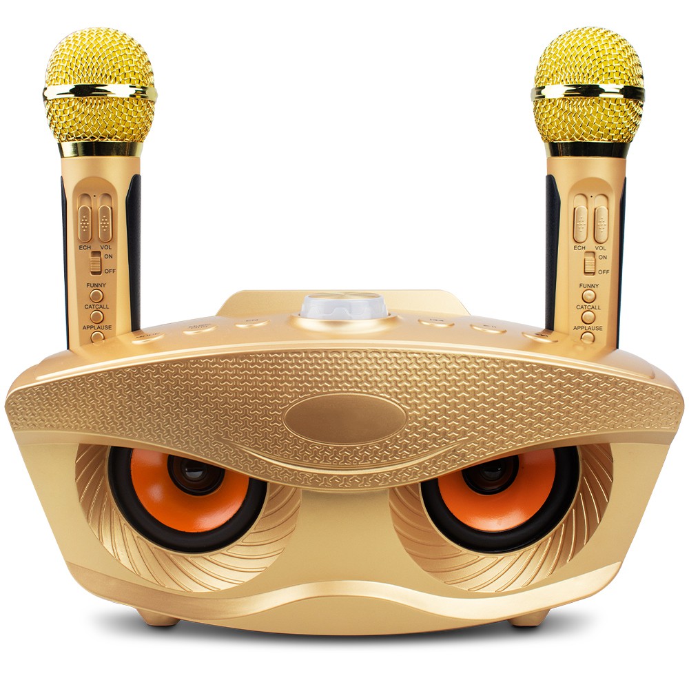 wireless mic and speaker set