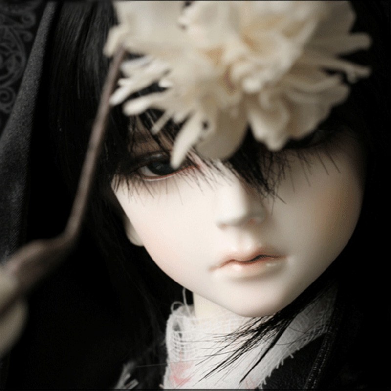 bjd dolls male