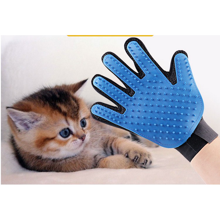 pet mitt brush