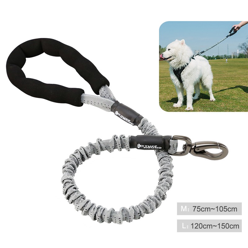 elastic leash