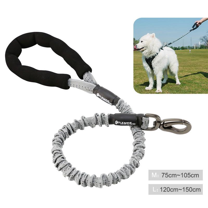 large dog leads