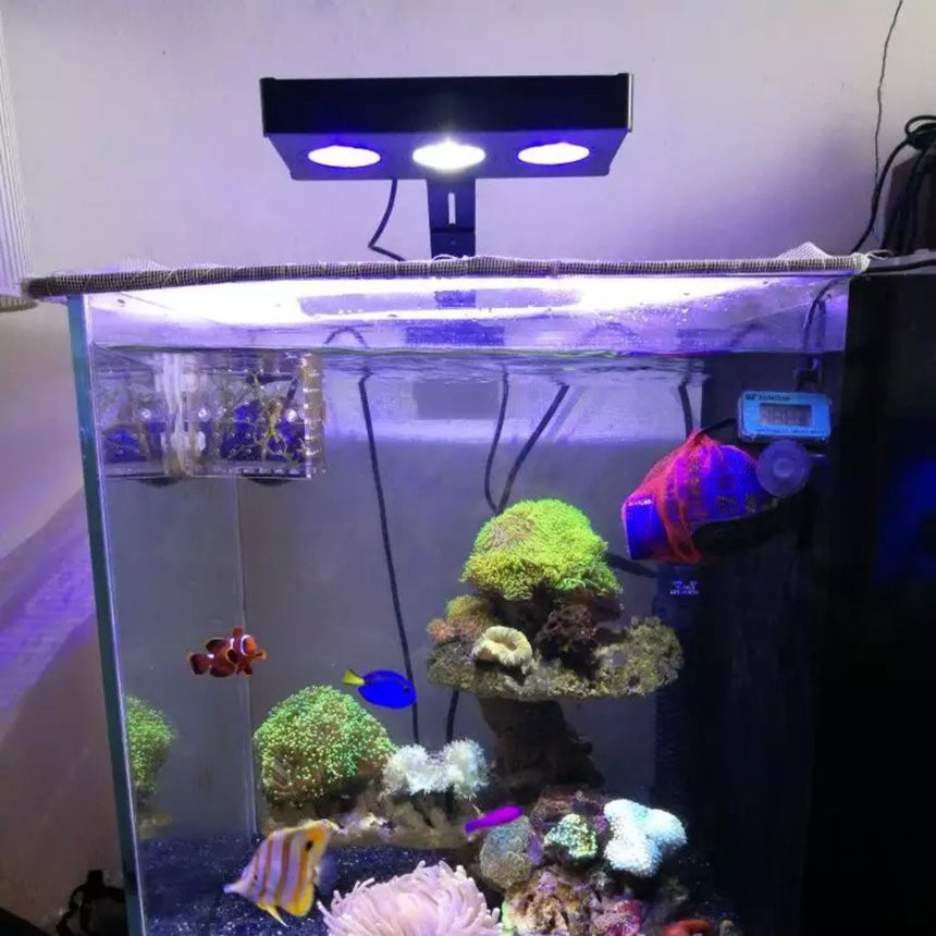 aquarium led light price