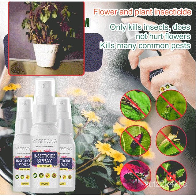 Flower Plant Insecticide Insect spider spray Shopee Philippines