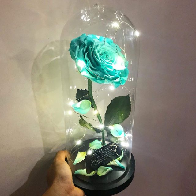 Preserved Rose In A Glass Dome Shopee Philippines