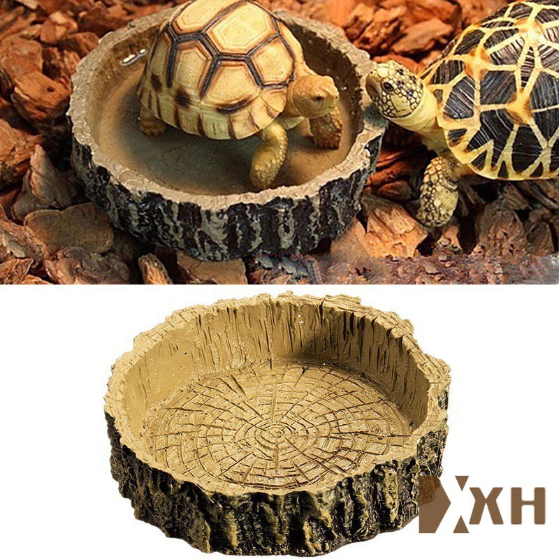 Resin Reptile Tortoise Water Dish Food Bowl Snakes Lizard #3
