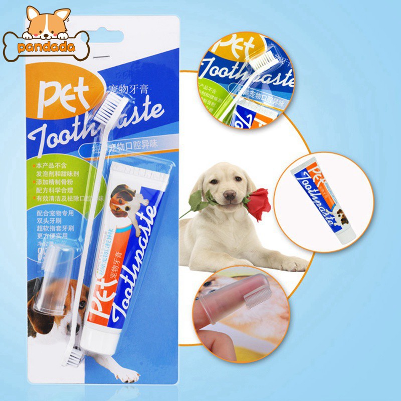 dog toothbrush target