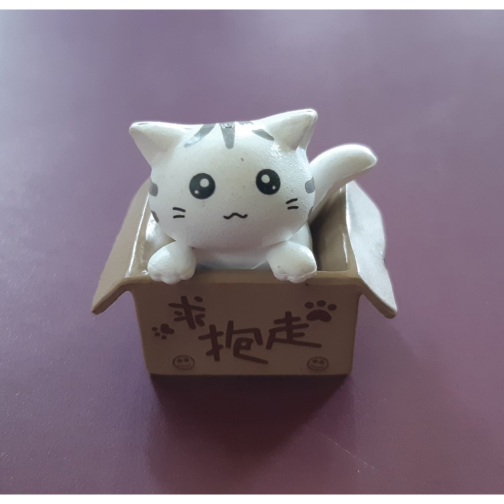 cat in a box toy