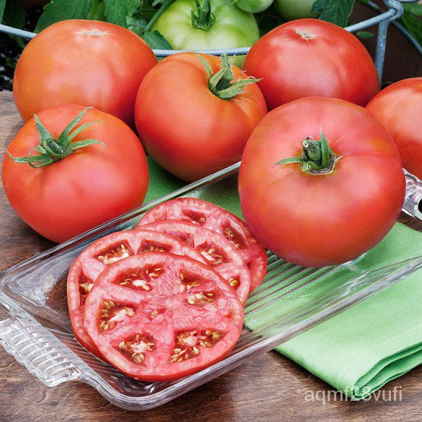 spot seeds Parks Whopper Large Tomato Seeds Whopper Tomato Seeds