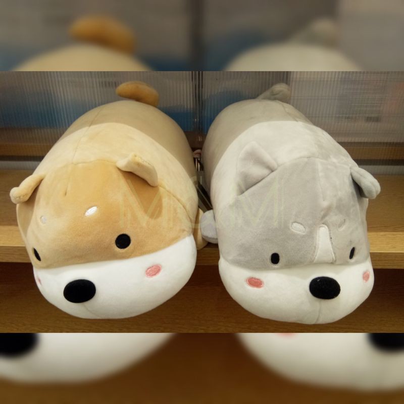 shiba plushie