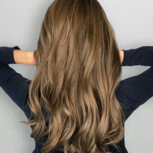 Chestnut Brown Hair Color Tovch Color Shopee Philippines