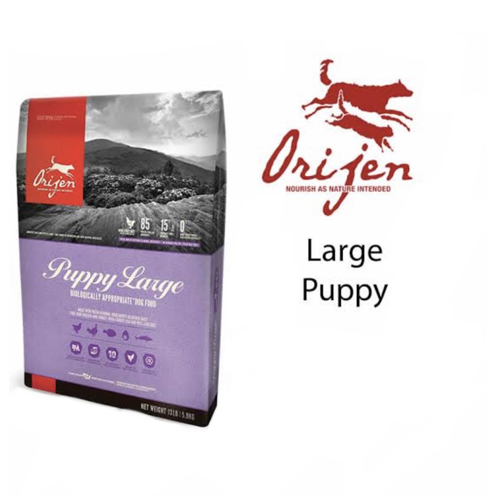 Orijen Puppy Large Breed Dog Food | Shopee Philippines
