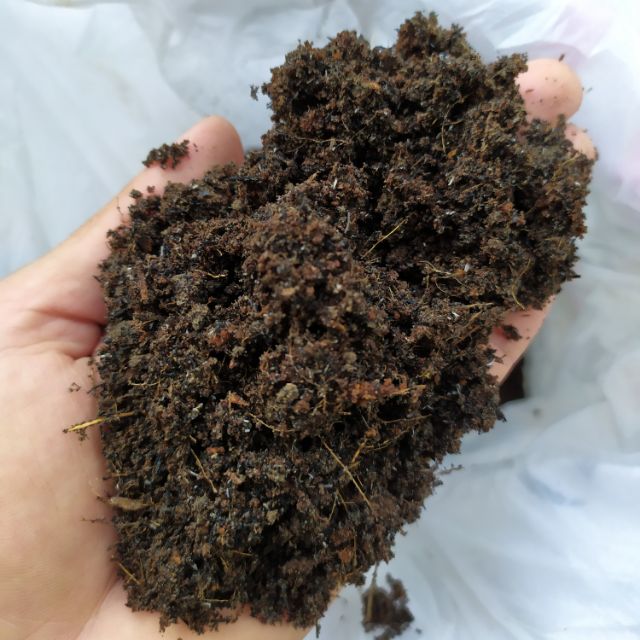 3 In 1 Potting Mix Garden Soil Carbonized Rice Haul And Coco Peat Planting Soil Mix Ornamentals Shopee Philippines