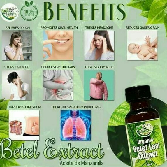 betel-organic-oil-by-tins-organics-shopee-philippines