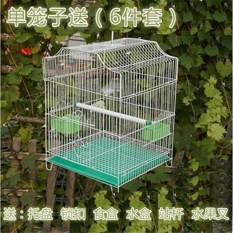 pets at home parrot cages