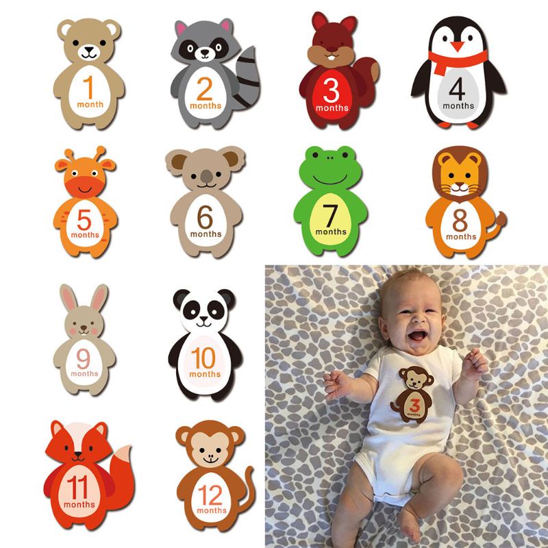 Monthly Photograph Stickers Baby Month 1-12 Milestone Stickers Baby Pregnant SI 