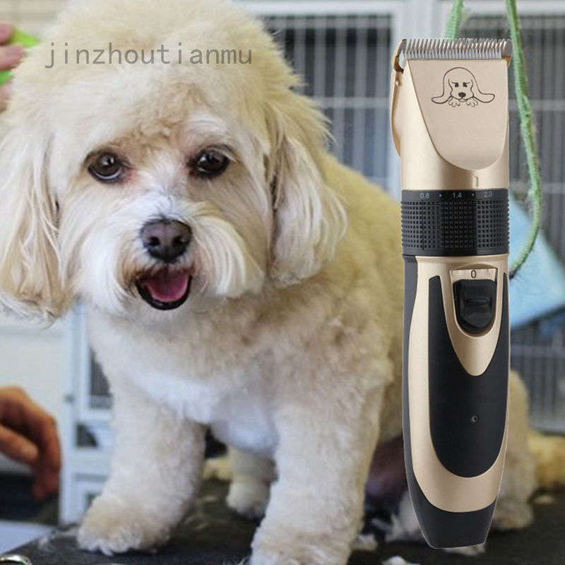 dog shaver