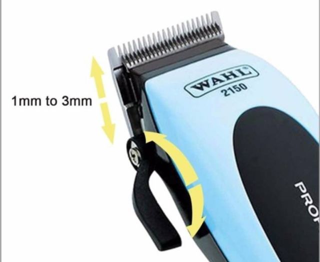 wahl 1mm guard