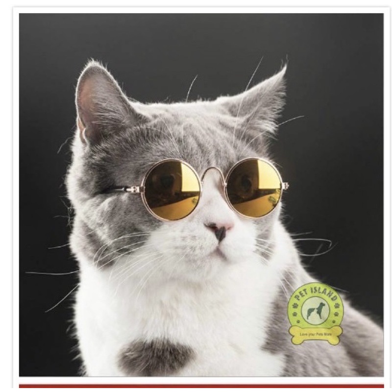 Pet shades / pet eyeglass/cat shade Shopee Philippines