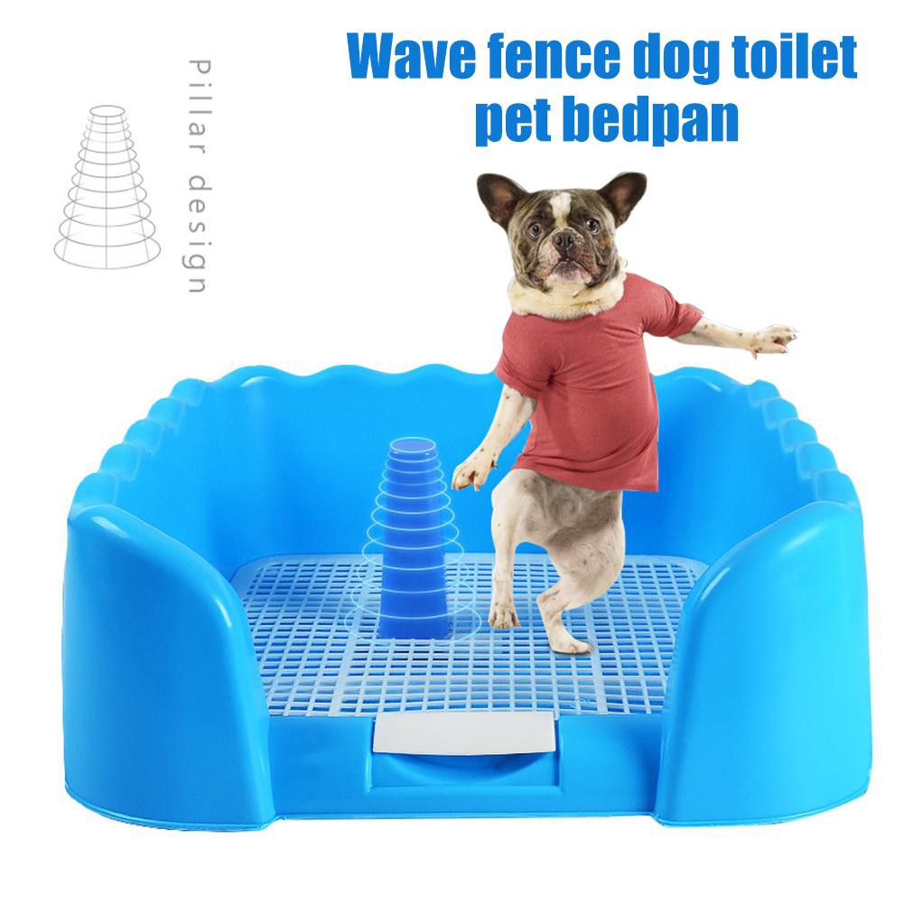 dog training litter box