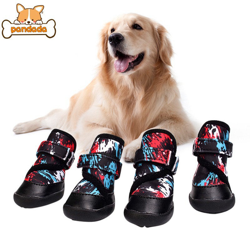 pet sneakers