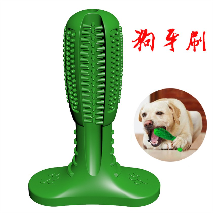 sporting dog supplies