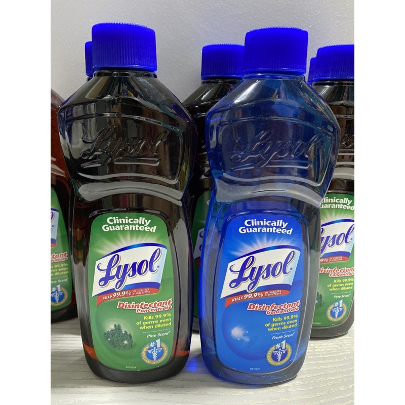 Lysol Liquid Disinfectant Concentrate Fresh Scent Pine Scent Ml