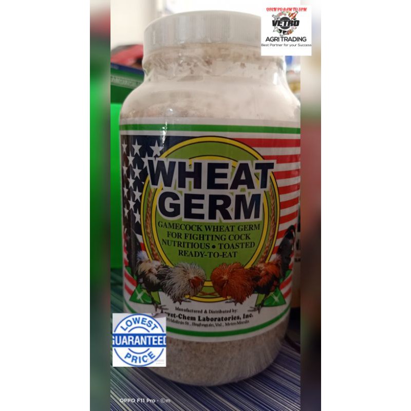 Wheat Germ 280gms Nutrition Booster for Fighting  Cock! #1