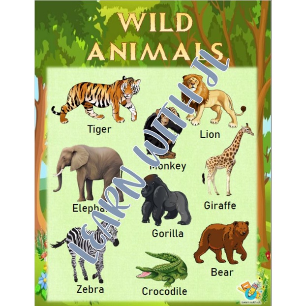 JL A4 Laminated Charts - Wild Animals Educational Materials 250 microns ...