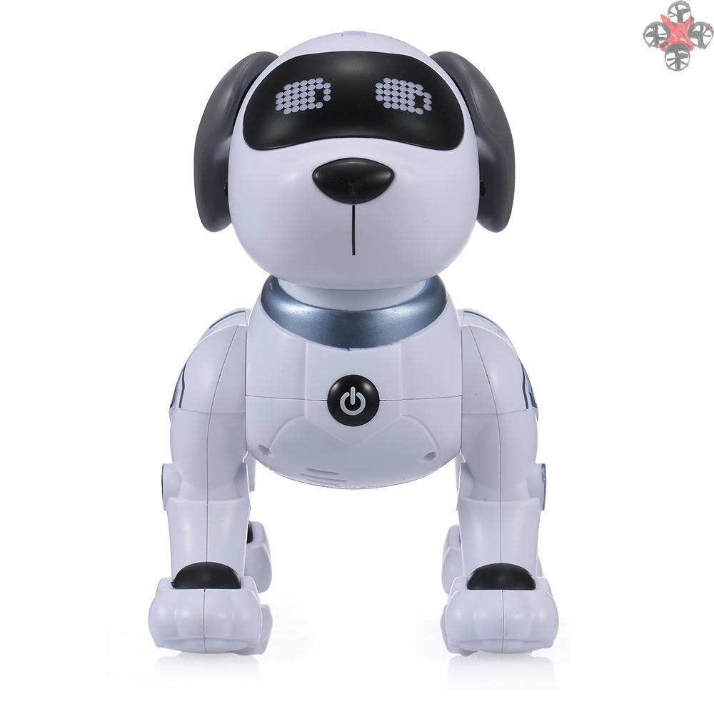 programmable robot dog