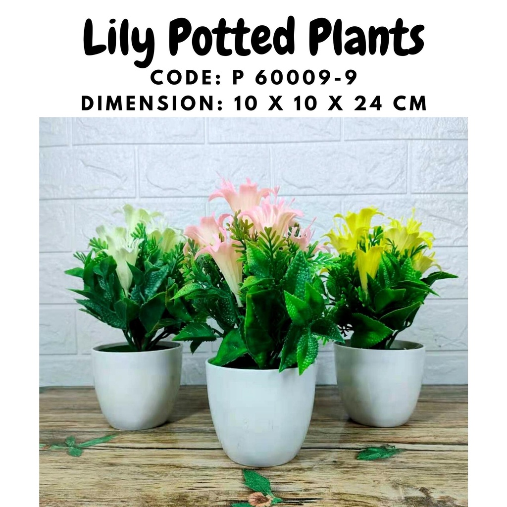 P 600099 LILY POTTED PLANT Shopee Philippines