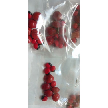 Saga Saga seeds or Bahay seeds 30 pesos per balot.. | Shopee Philippines